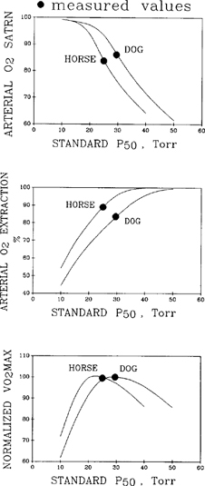 Figure 30.