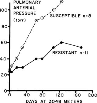 Figure 11.