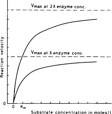 Figure 29.